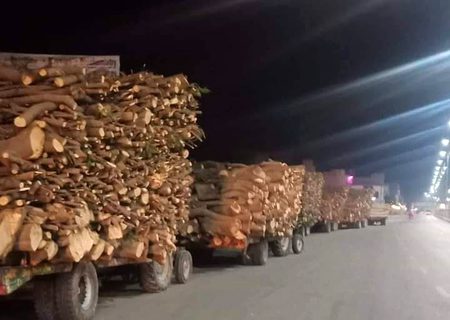 #ملتان DHA  رھائشی منصوبوں کے لیے بڑے باغات کو کاٹنا ختم کرنا بہت بڑا ظلم ھے اور یہ اس حکومت کے دور میں ھو رھا ھے جو بلین ٹری سونامی پروجیکٹ چلا رھی ھے۔
ملتان میں ھزاروں کی تعداد میں پھل دار پھولوں سے لدے درخت کاٹنے پر سپریم کورٹ خاموش کیوں؟