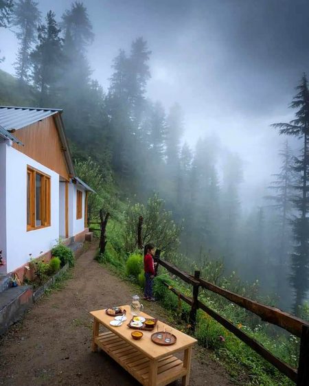 Beautiful Nature image