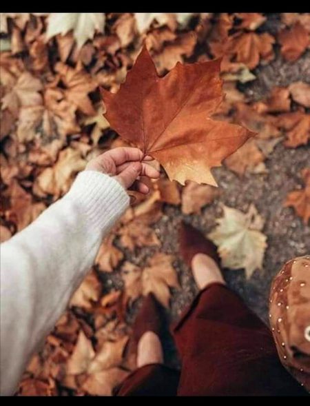 Beautiful Nature image