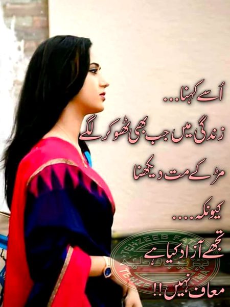 ❤️💗💛💚❤️💗💛💚❤️💗💛💚