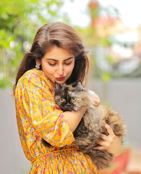 Pakistani Celebs image