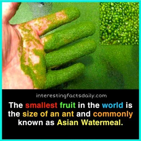 Interesting Posts image