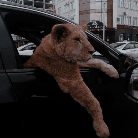 Beautiful Nature image