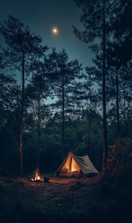 Beautiful Nature image