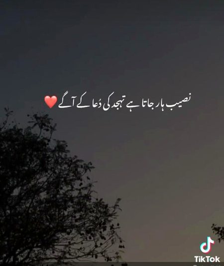 (◍•ᴗ•◍)❤