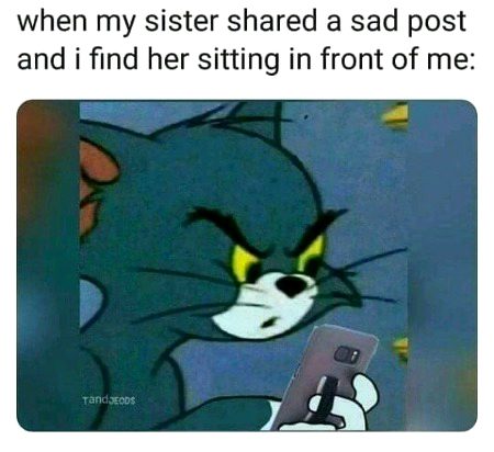 Memes & Satire image