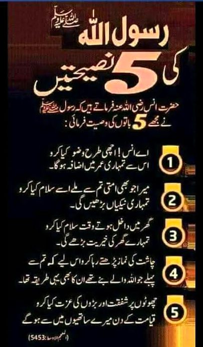 🍁Zoq_Shab🍁