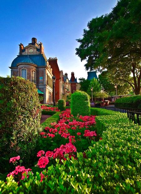 Beautiful Nature image