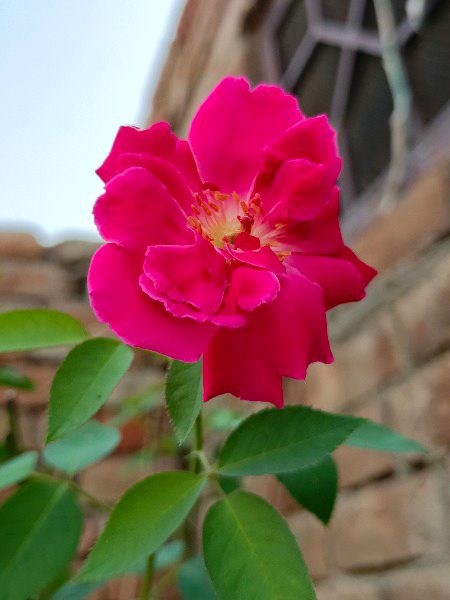 Beautiful Nature image
