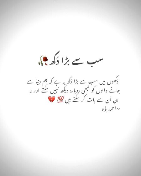 Ami gggg