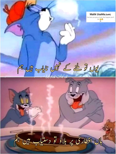 Memes & Satire image