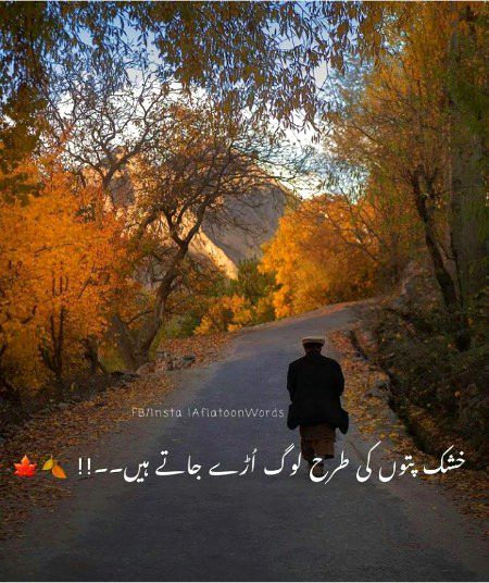 Right🍂🍂🍂🍂🍂