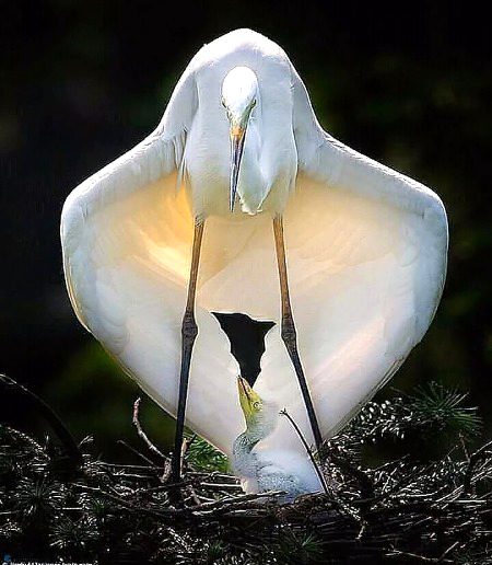 Beautiful Nature image