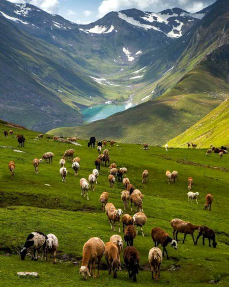 Neelam valley 😍