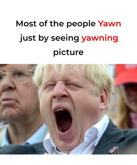 Memes & Satire image