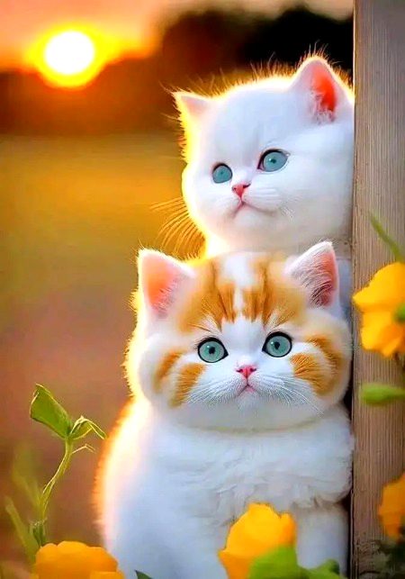 Beautiful People image