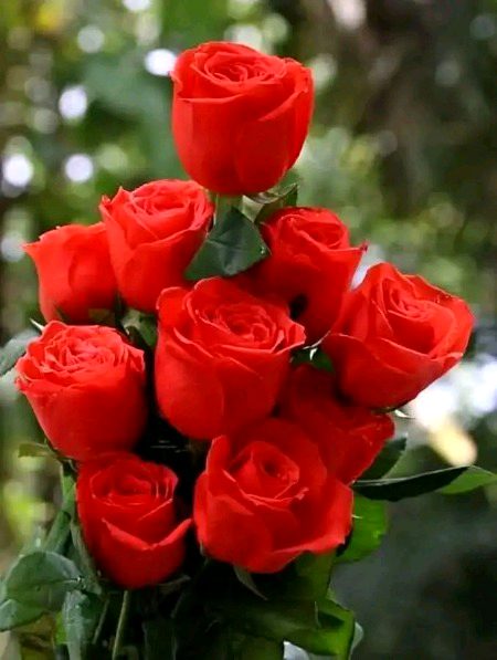 Beautiful Nature image