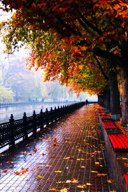 Beautiful Nature image