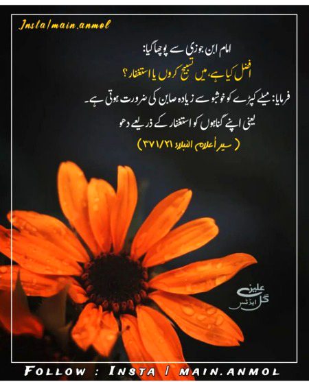 Islamic Quotes image