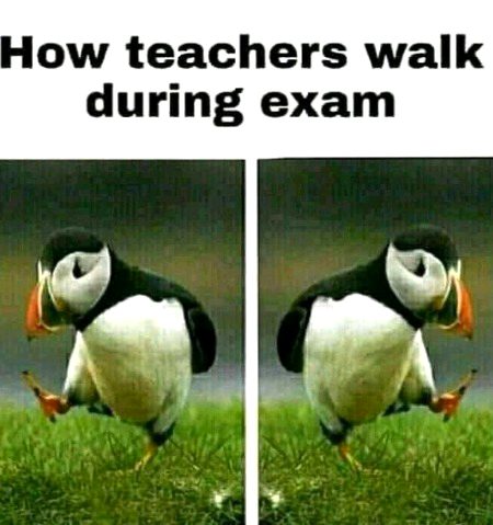 Memes & Satire image