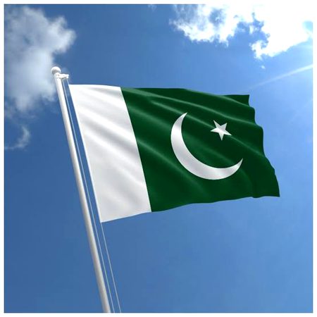 Screenshot lo aur crop kr k dp lga dou
