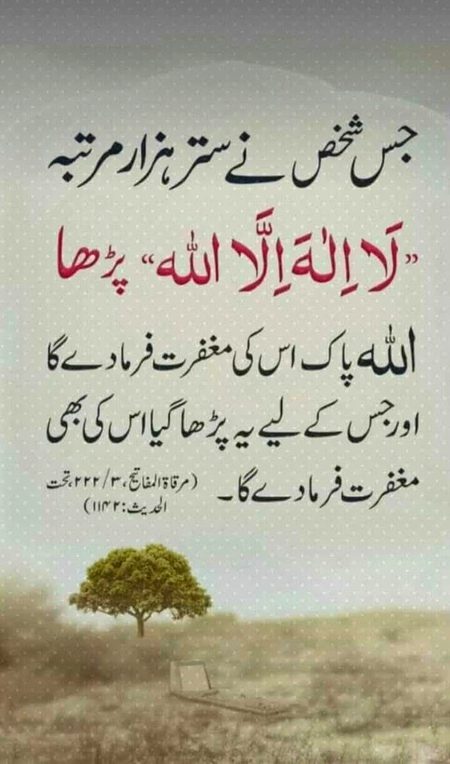 Islamic Quotes image