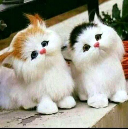 #_دنیا کی امیری سے مجھے کوئی مطلب نہیں🎋
میں خلوص کی زندگی میں نوابوں کی طرح رہتا ہوں❤💕
Aliyan Tanha ❤🌹🌹