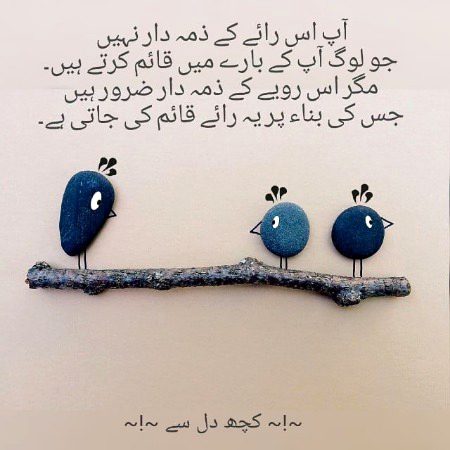 Ap is Raye k zamaydar nahi