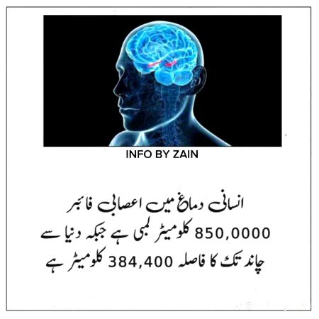 Interesting Posts image