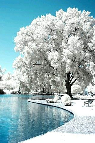 Beautiful Nature image