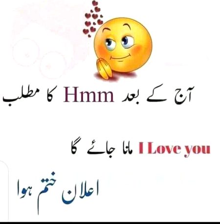 👩Aham ilaan hmm 
kahny waloo k ley👩👩
🌹