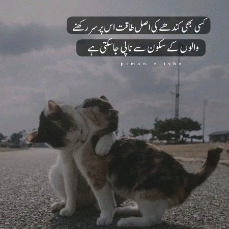 Motivational Quotes image