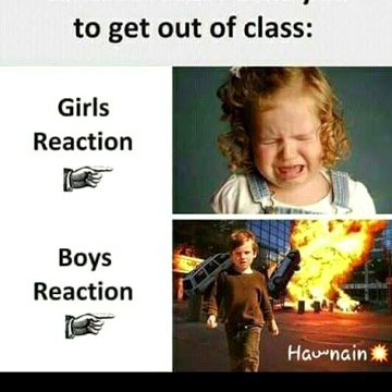 Memes & Satire image