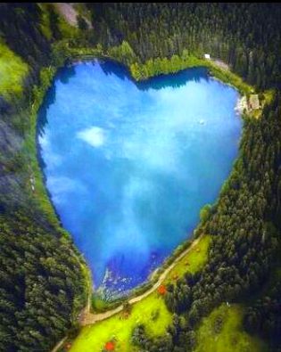 Beautiful Nature image