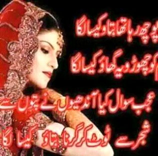 Sad Poetry image