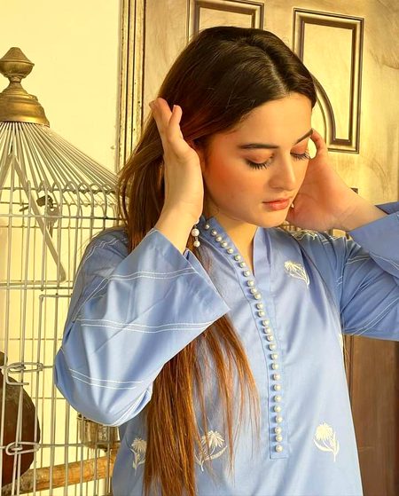 Pakistani Celebs image