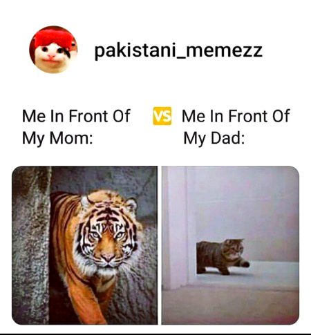 Memes & Satire image