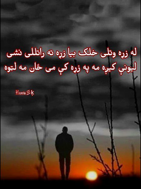 🌹🌹❤️❤️