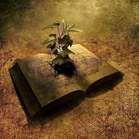 Digital Art image