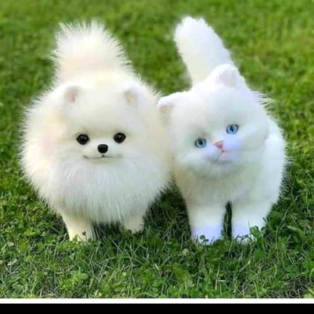 😍😍kitni cute hain 🥰🥰