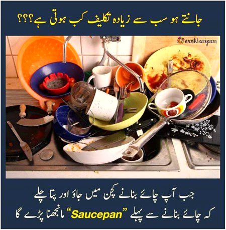 Memes & Satire image