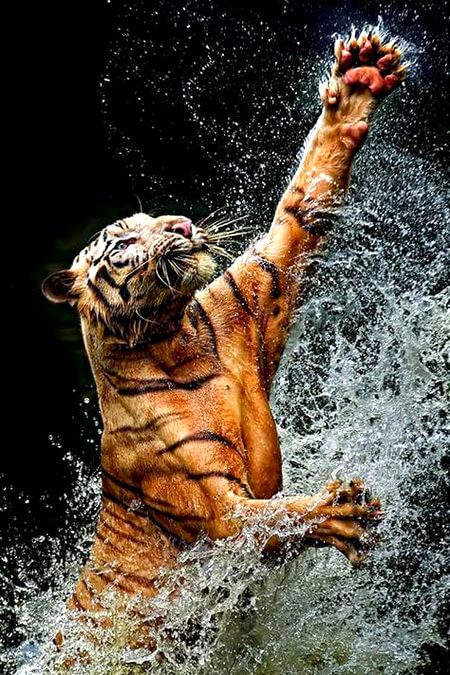Beautiful Nature image