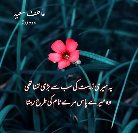 Sad Poetry image