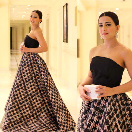 Pakistani Celebs image