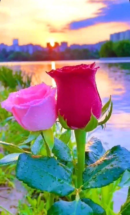 Beautiful Nature image