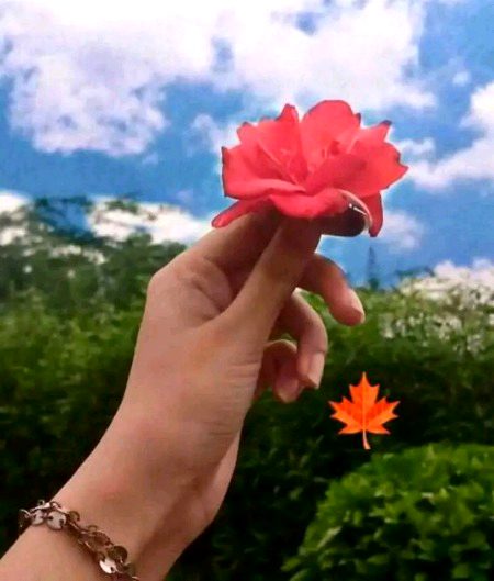 Beautiful Nature image