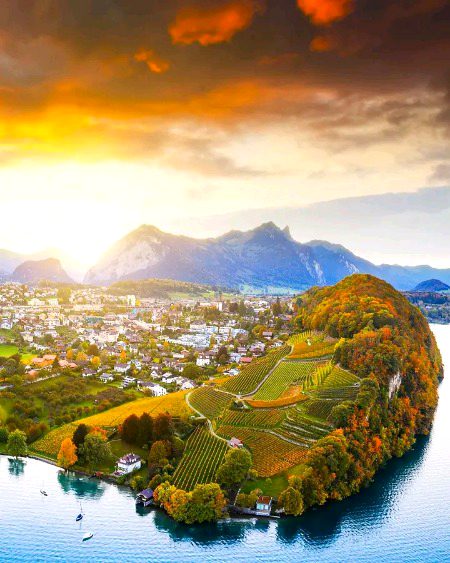 Beautiful Nature image