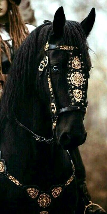 Beautiful Nature image