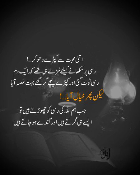 Islamic Quotes image