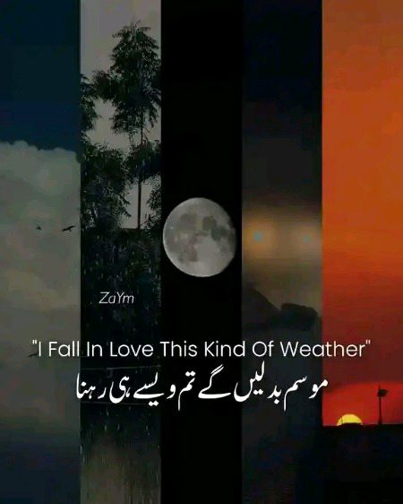 Romantic Poetry image